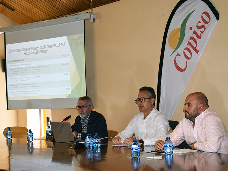 Pascual López, gerente de Copiso; Francisco Javier Blanco, presidente; y Rubén Carramiñana, secretario; en las juntas preparatorias de Copiso.