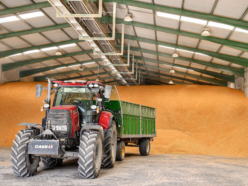 Copiso recoge más de 100.000 t de cereales de sus socios