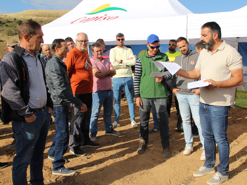 120 agricultores en el campo de ensayos de girasol de Copiso